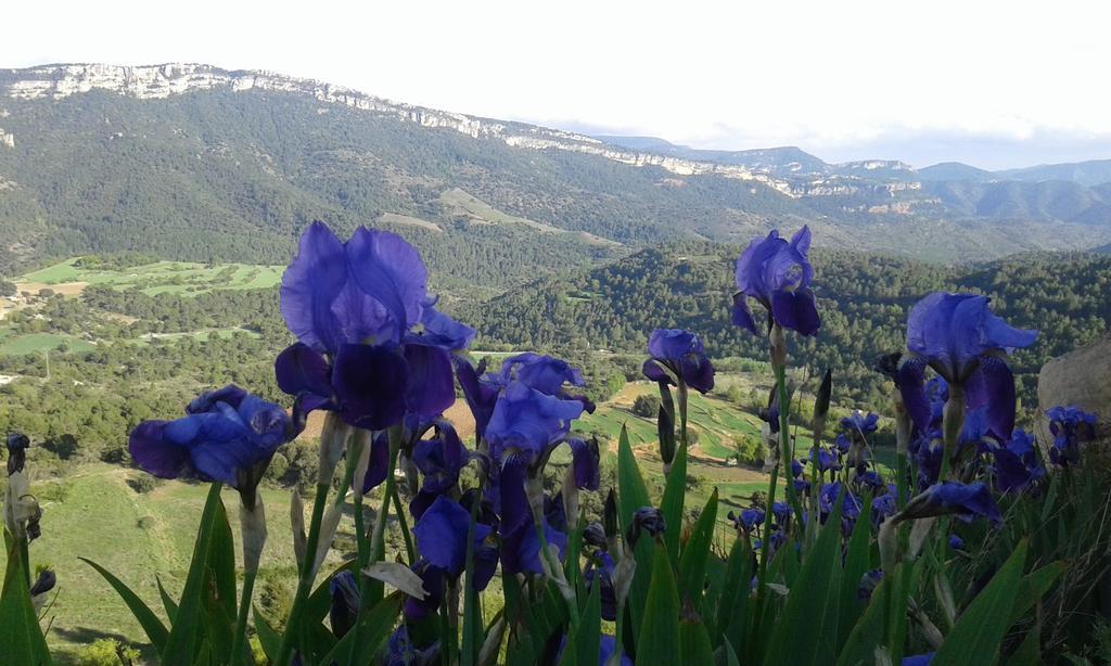 Pla Del Castell I Affittacamere Albarca Esterno foto